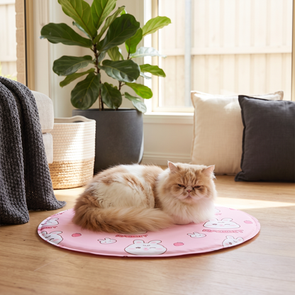 Fluffy cat resting on the Snaggoo pink rabbit-print cooling gel mat in a cozy sunlit Australian home