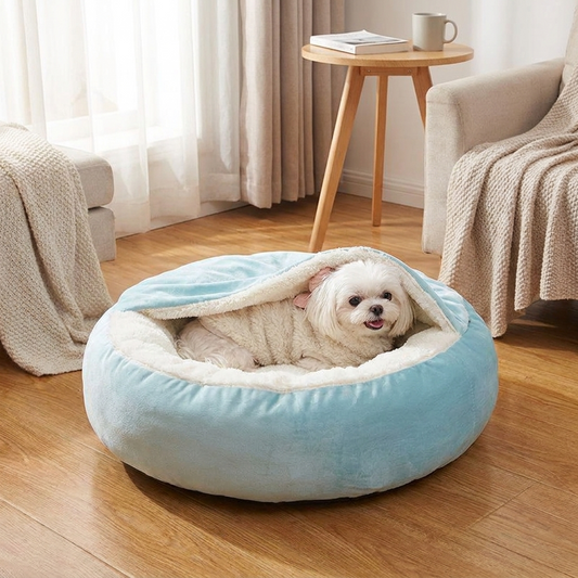 Small white dog tucked under the hooded blanket of the Snaggoo orthopedic dog bed in a warm living room